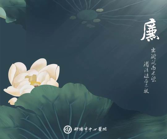 调整大小 垫1.jpg