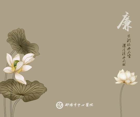 调整大小 垫2.jpg
